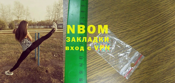 стаф Богданович