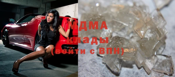 стаф Богданович