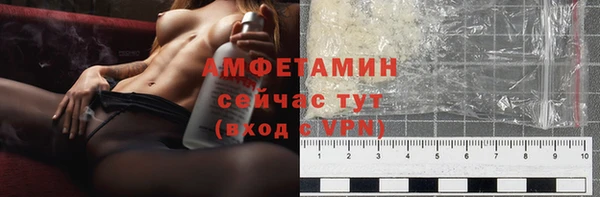 стаф Богданович