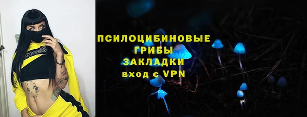 таблы Богородск