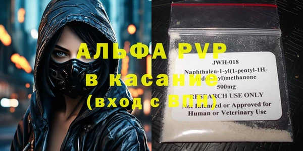 стаф Богданович