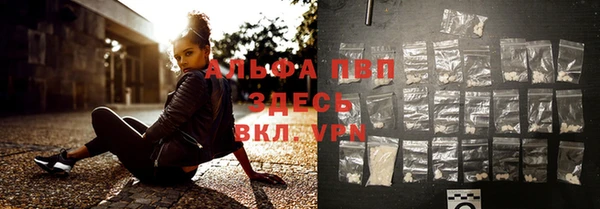 стаф Богданович
