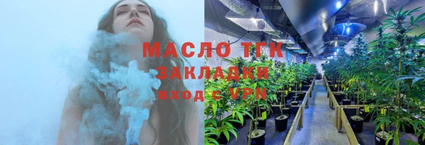 стаф Богданович