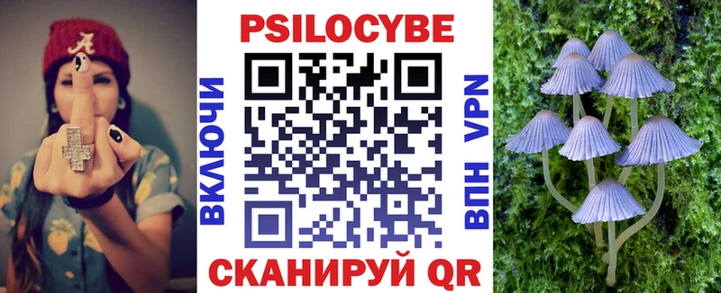 Купить где  Цимлянск  Галлюциногенные грибы MAGIC MUSHROOMS 